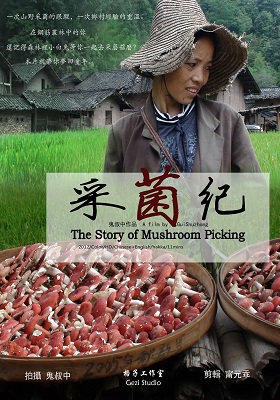 The story of mushroom picking